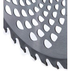 Disco da Taglio per Decespugliatore Tosaerba | Diametro 255 mm | Foro di Montaggio Standatd 25,4 mm | 40 Denti | in Acciaio